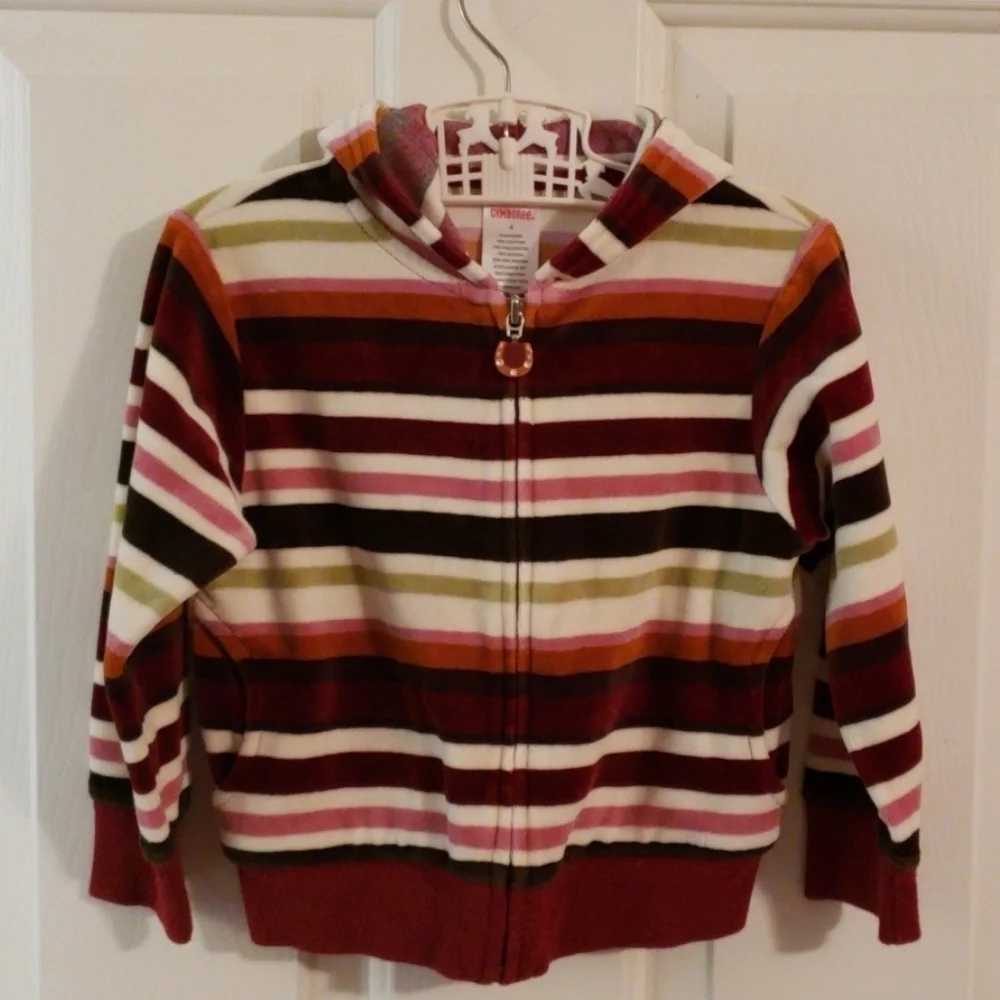 Gymboree Velour Striped Hoodie